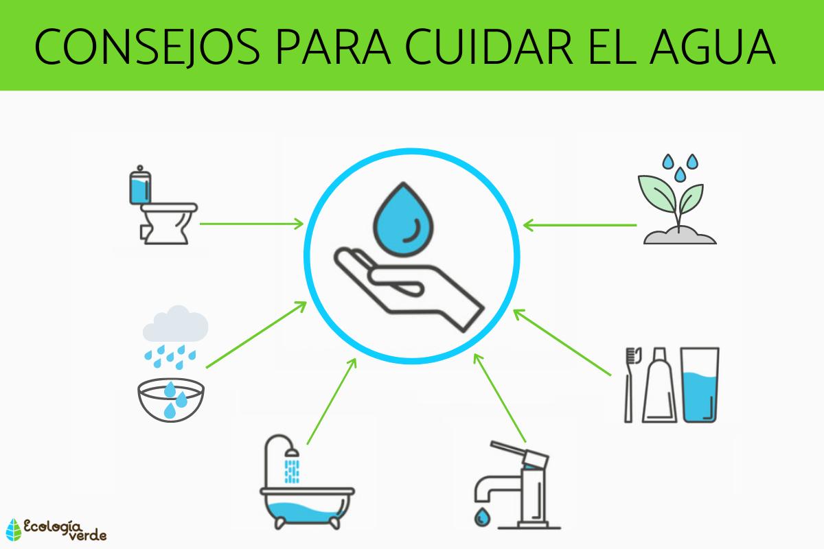 3 ejemplos para cuidar el agua: Guía práctica - Optimaestudio